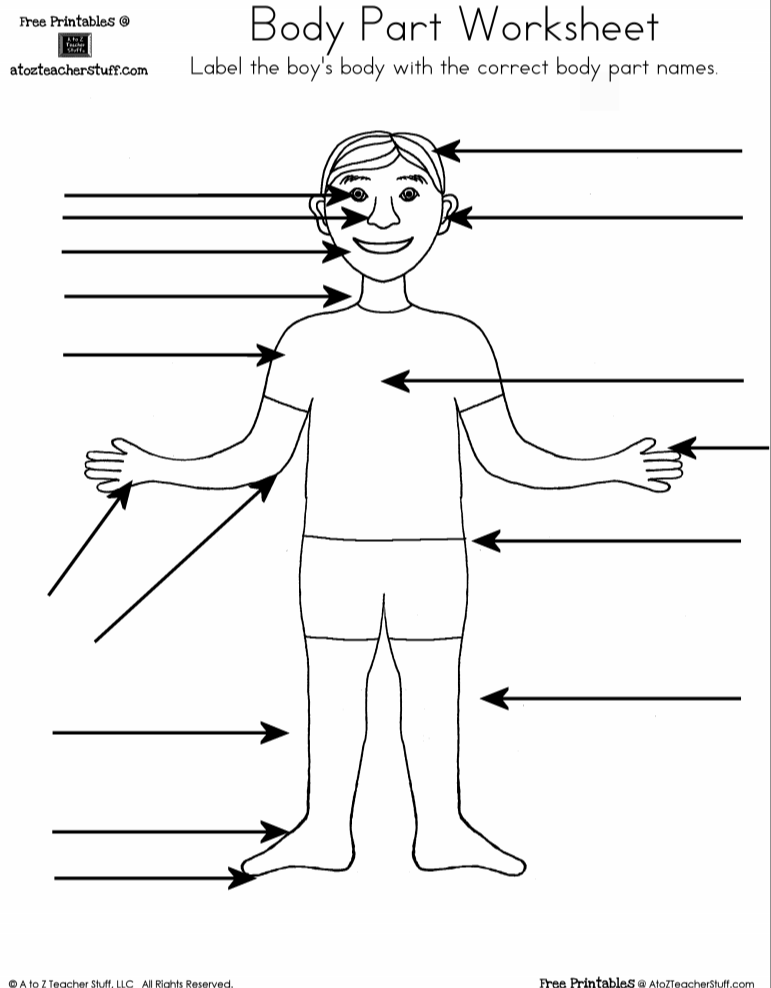 Body Template Outline (Boy or Girl) - A to Z Teacher Stuff
