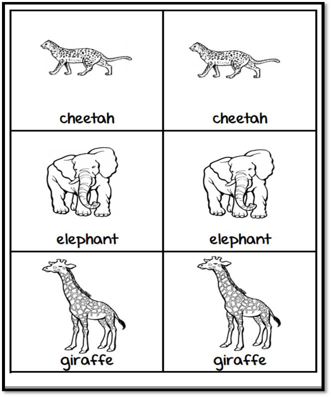 zoo animalspicturecardsbwpg14