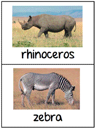 Zoo Animal Photo Cards