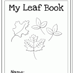 leafbookcover