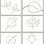 leafmatchinggame