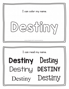 destiny-book_2