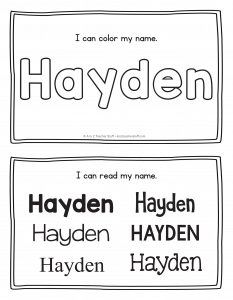 hayden-book_2