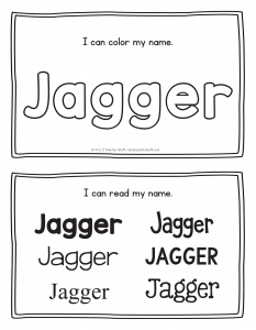 jagger-book_2