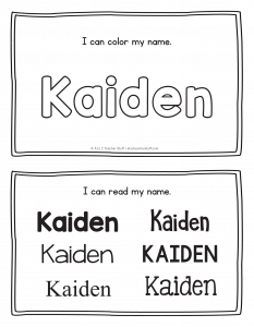 kaiden-book_2