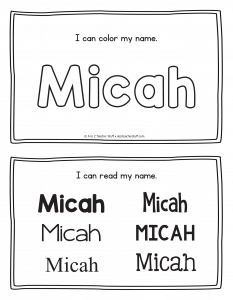 micah-book_2