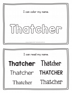 thatcher-book_2