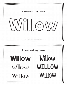 willow-book_2