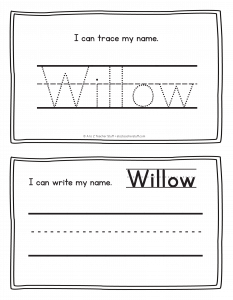 willow-book_3